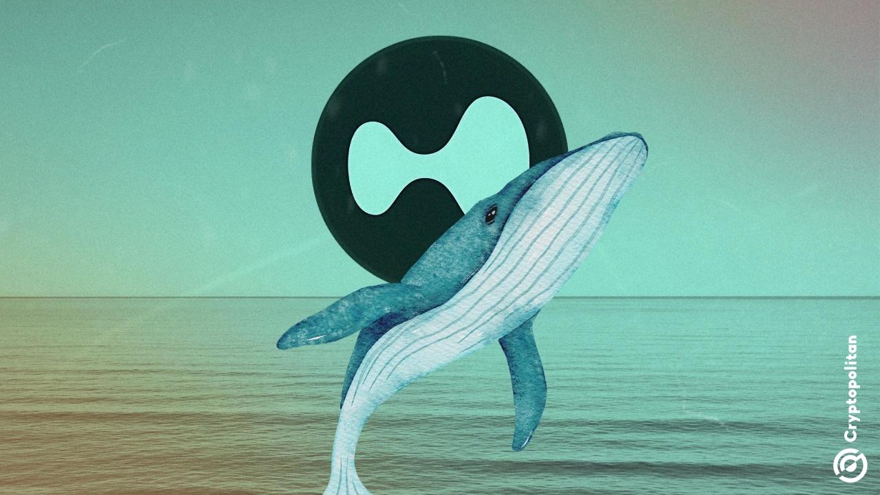 Whales Leveraging .49 Billion Surpassing Super Liquid BTC Defenders